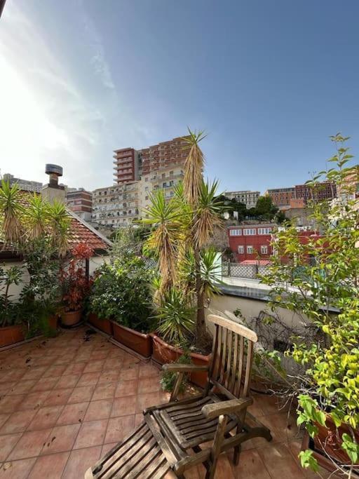 Ventaglieri Panoramic Rooftop In The Historic Center Appartement *
