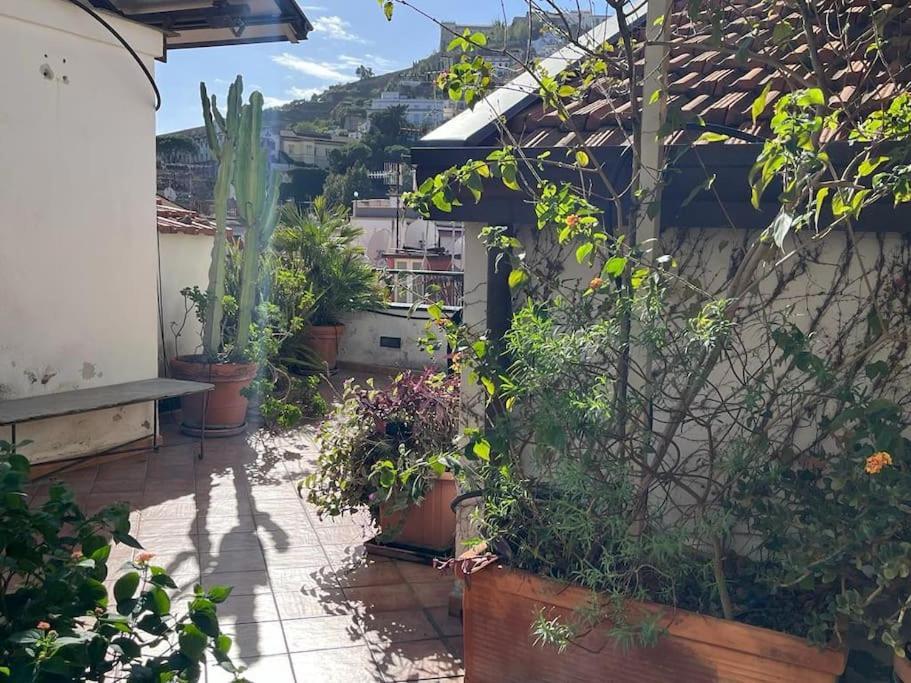 Ventaglieri Panoramic Rooftop In The Historic Center Appartement