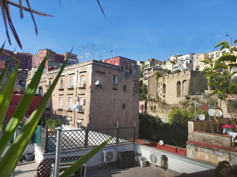 Ventaglieri Panoramic Rooftop In The Historic Center Appartement Napels