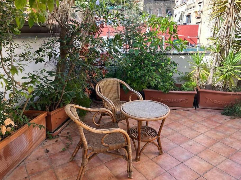 Appartement Ventaglieri Panoramic Rooftop In The Historic Center Napels